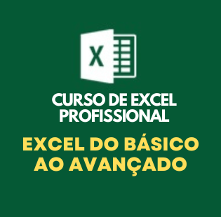 excel profissional png